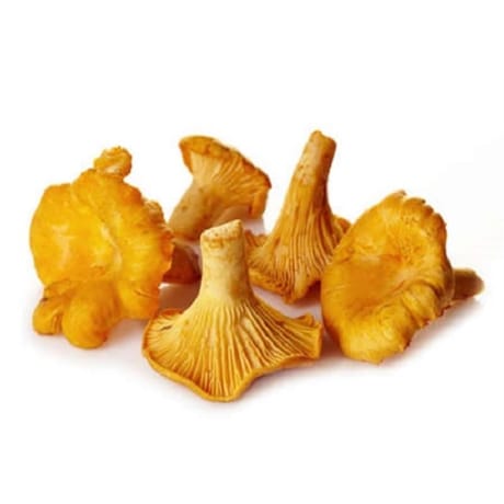 Girolles