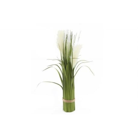 Bouquet 3 pampas 61cm