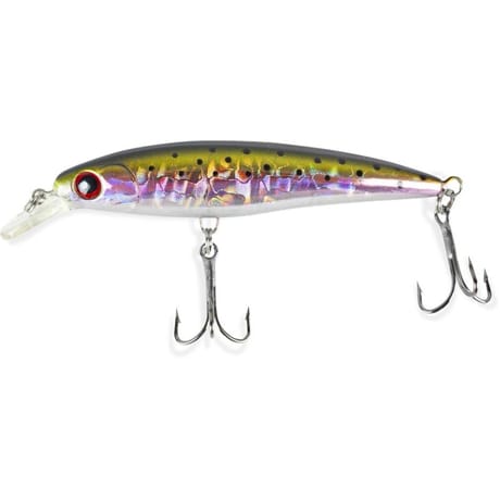 Poisson nageur flottant arc en ciel 70mm 10g
