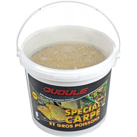 Amorce seau carpe 2,5kg dudule