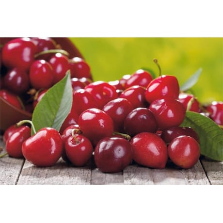 Cerises
