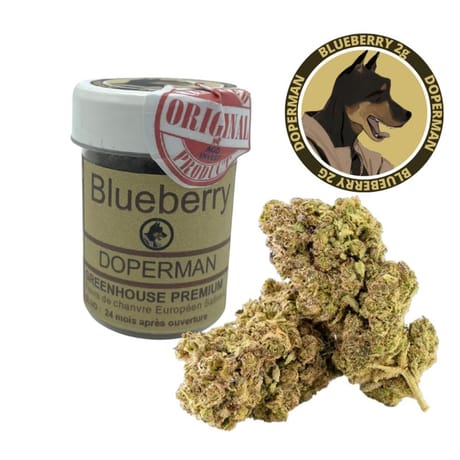 Doperman fleurs de cbd 2g blueberry