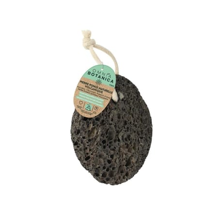 Omnia botanica pierre ponce volcanique