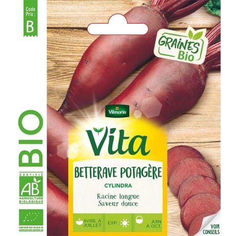 Vita Vilmorin betterave potagère cylindra bio