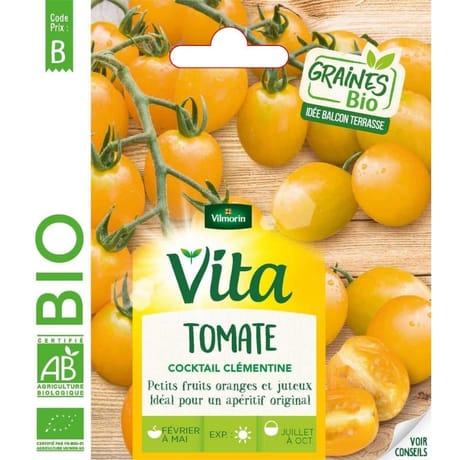 Vita Vilmorin tomate cocktail clémentine bio