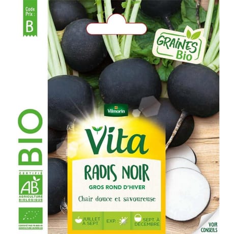 Vita Vilmorin radis noir gros rond d'hiver bio