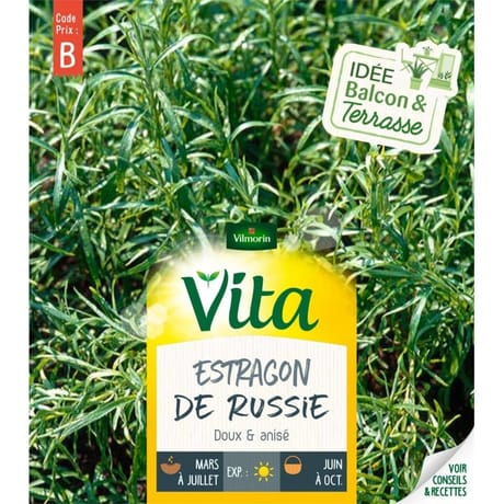 Vita Vilmorin estragon de Russie