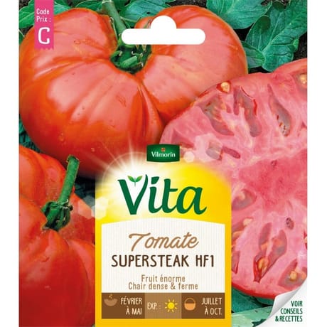 Vita Vilmorin radis bamba