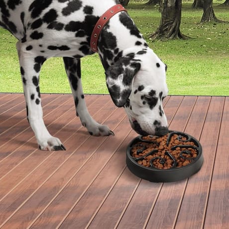 Idomya gamelle labyrinthe noire pour chien