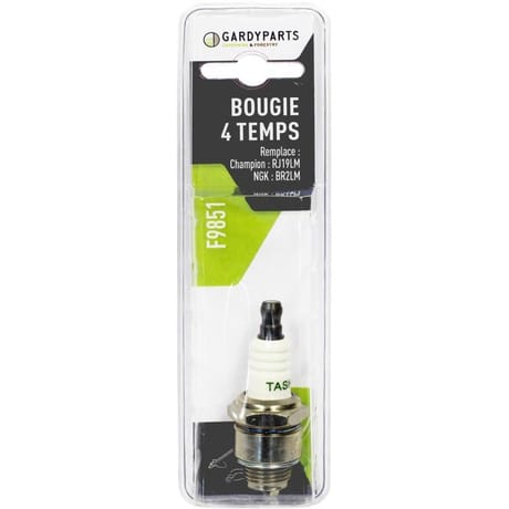 Bougie 4 temps. Remplace: champion: rj19lm ngk: br2lm pour moteur brig