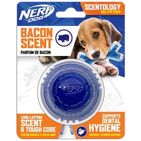 Nerf balle scentology au bacon