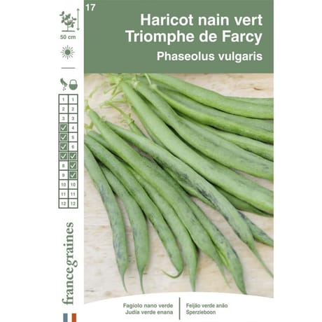 Francegraines Haricot Triomphe de Farcy nain à filet