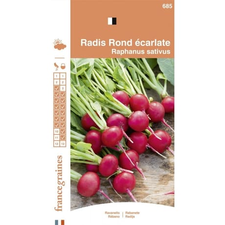 Francegraines Radis rond écarlate