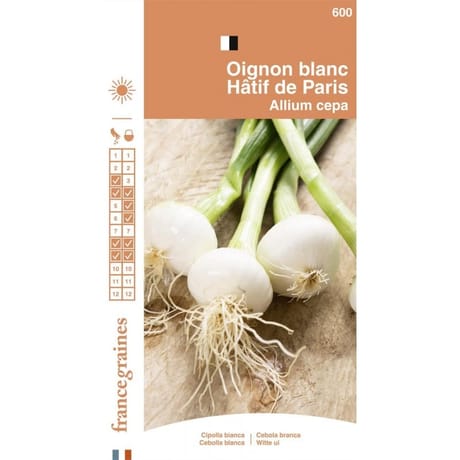 Francegraines Oignon blanc hâtif de Paris