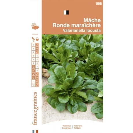 Francegraines Mâche ronde maraichère