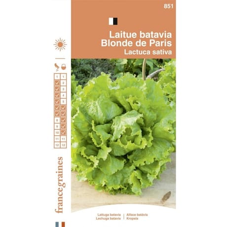 Francegraines Laitue batavia Blonde de Paris