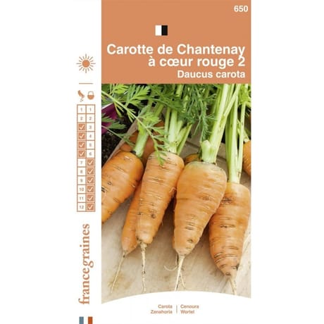 Francegraines Carotte de Chantenay