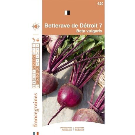 Francegraines betterave de détroit améliorée 7