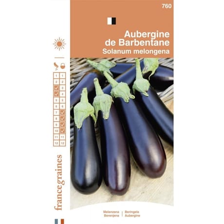 Francegraines Aubergine de Barbentane