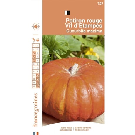 Francegraines Potiron vif d'Etampes