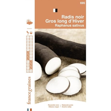 Francegraines Radis noir gros long d'hiver