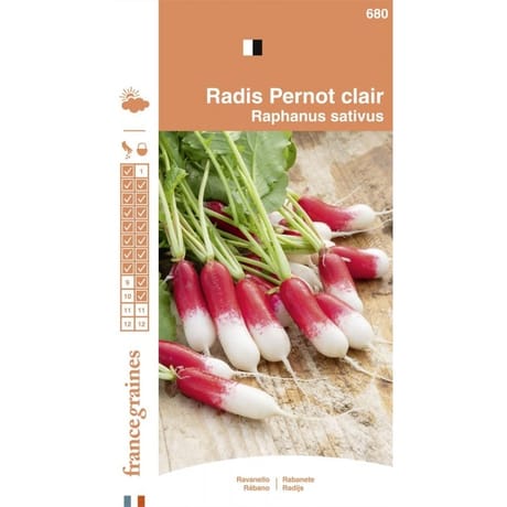 Francegraines Radis Pernot clair