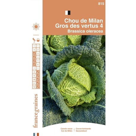 Francegraines Chou de Milan Gros des vertus