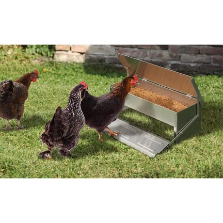 Idomya mangeoire poule 5 kg
