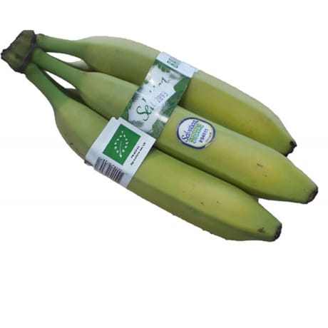 Banane bio 5 fruits