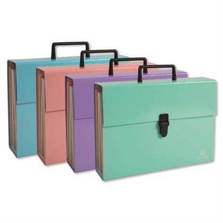 Exacompta trieur familial 18 compartiments 250x385 4 couleurs blush