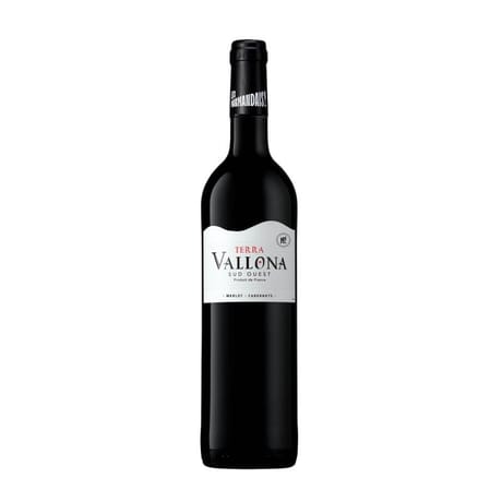 IGP Comté Tolosan Terra Vallona Rouge 14% Vol.75cl