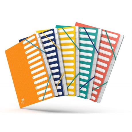 Trieu oxford bicolor recycler a4 12 positions carte lustrée assorti