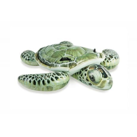 Bouée tortue aloha à chevaucher