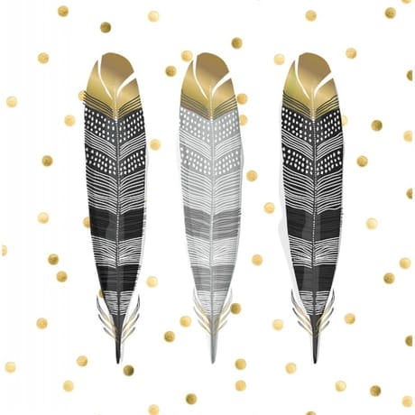 20 serviettes 33x33 cm feathers noir