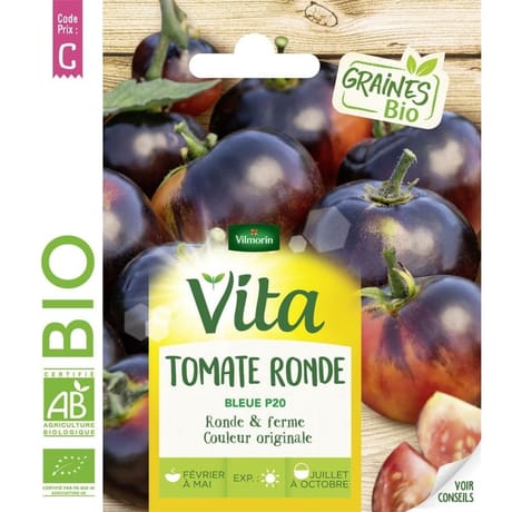 Vita Vilmorin tomate bleue P20 bio