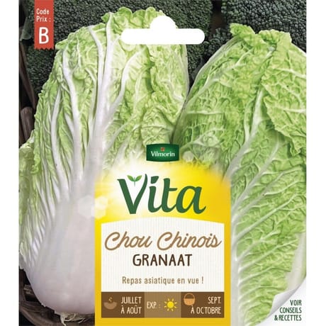 Vita Vilmorin chou chinois granaat