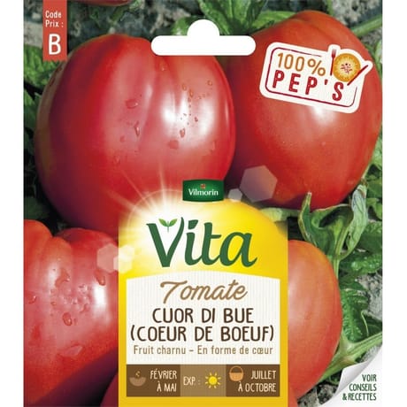 Vita Vilmorin tomate cuor di bue