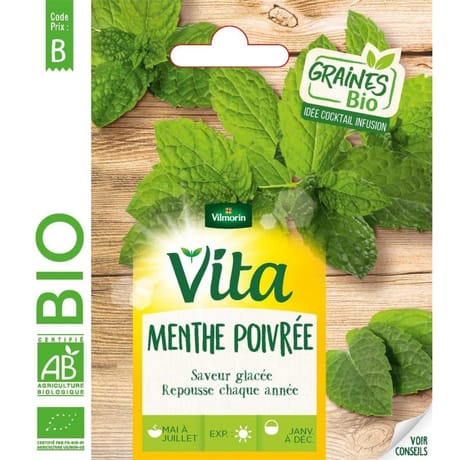 Vita Vilmorin menthe poivrée bio