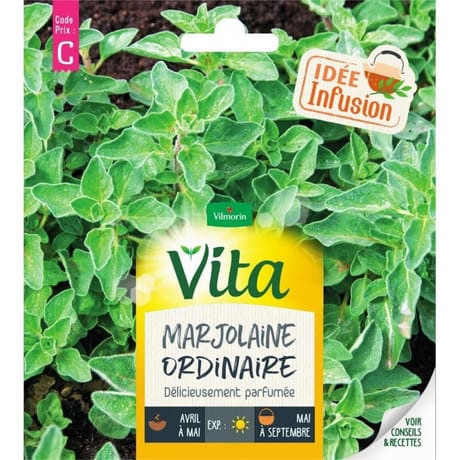 Vita vilmorin marjolaine annuelle