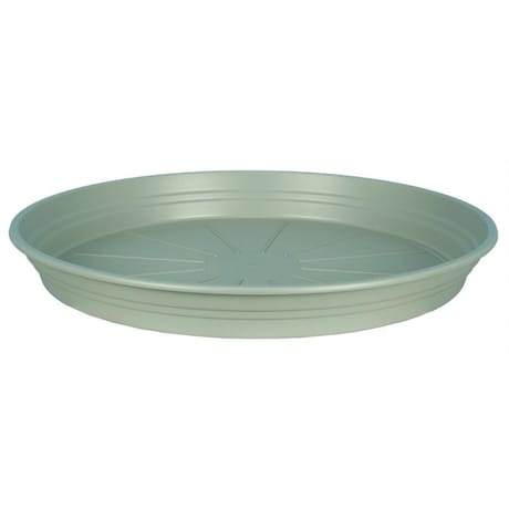 Riviera soucoupe diamètre 16.5 cm vert argile