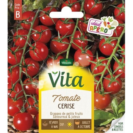 Vita Vilmorin tomate cerise