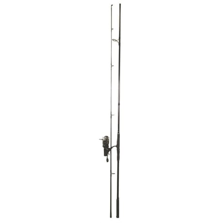 Ensemble carpe canne 3.60m  2 brins avec moulinet t6 fd