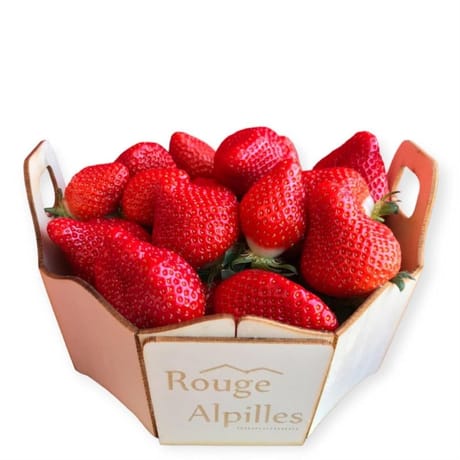 Frais ronde barquette bois 1kg