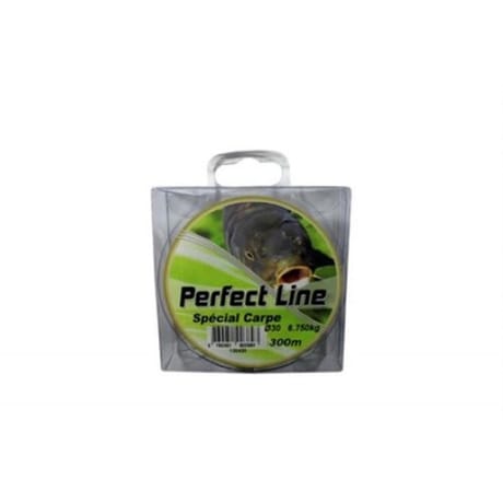 Nylon carpe 30/100 300m