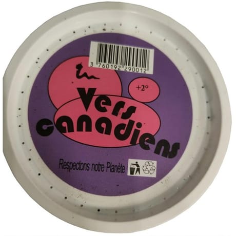 Vers canadiens 10 pièces