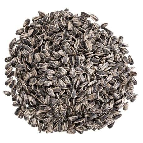 Graines de tournesol grillées salées sachet 500gr