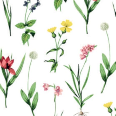 Serviettes x20 botania 25x25cm 3 plis