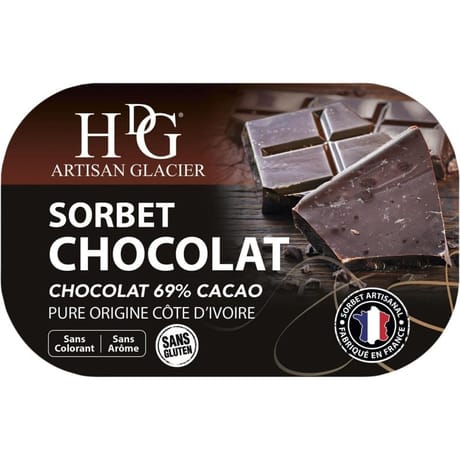 HDG bac sorbet chocolat 487g