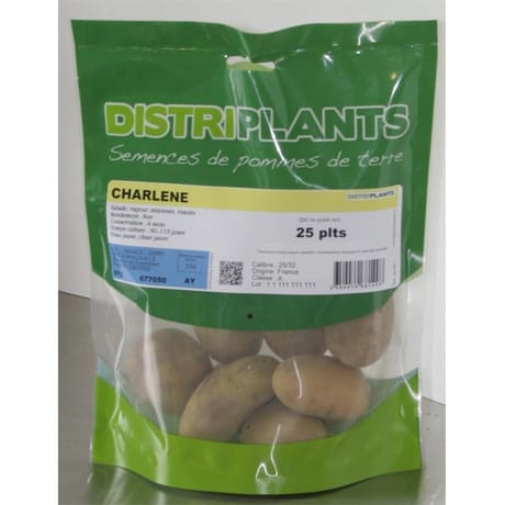 Charlene 25/32 clipack 25 plants