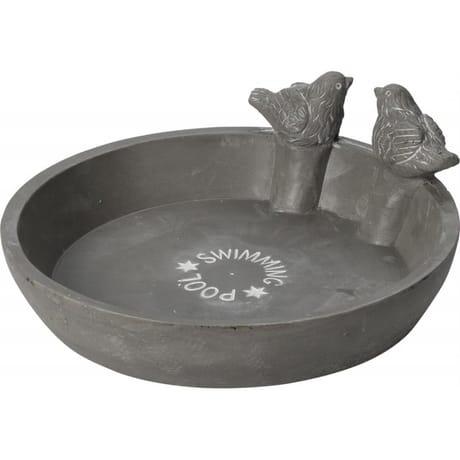 Bain à oiseau